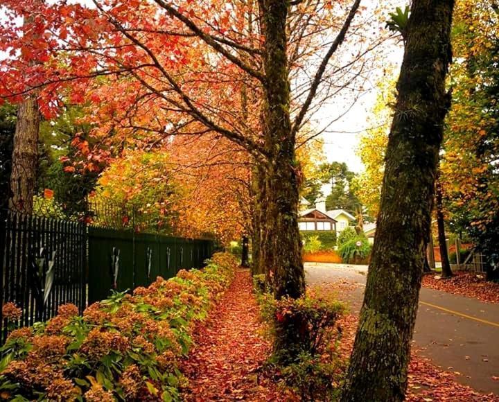 Apartamento Família Sirangelo Gramado Exterior foto