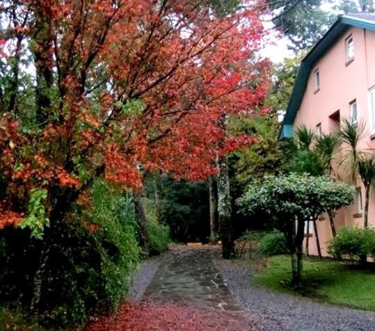 Apartamento Família Sirangelo Gramado Exterior foto